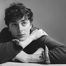 Noah Schnapp Breaks the Internet During Stranger Things Final Season