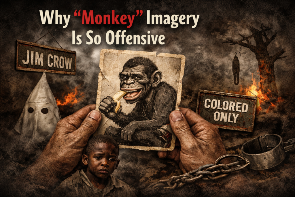 Trump Obama racist video